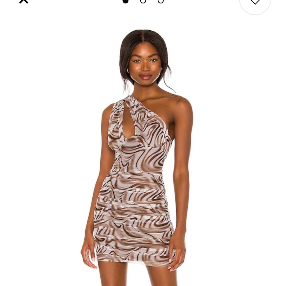 Kasey Mesh Mini Dress in Brown
